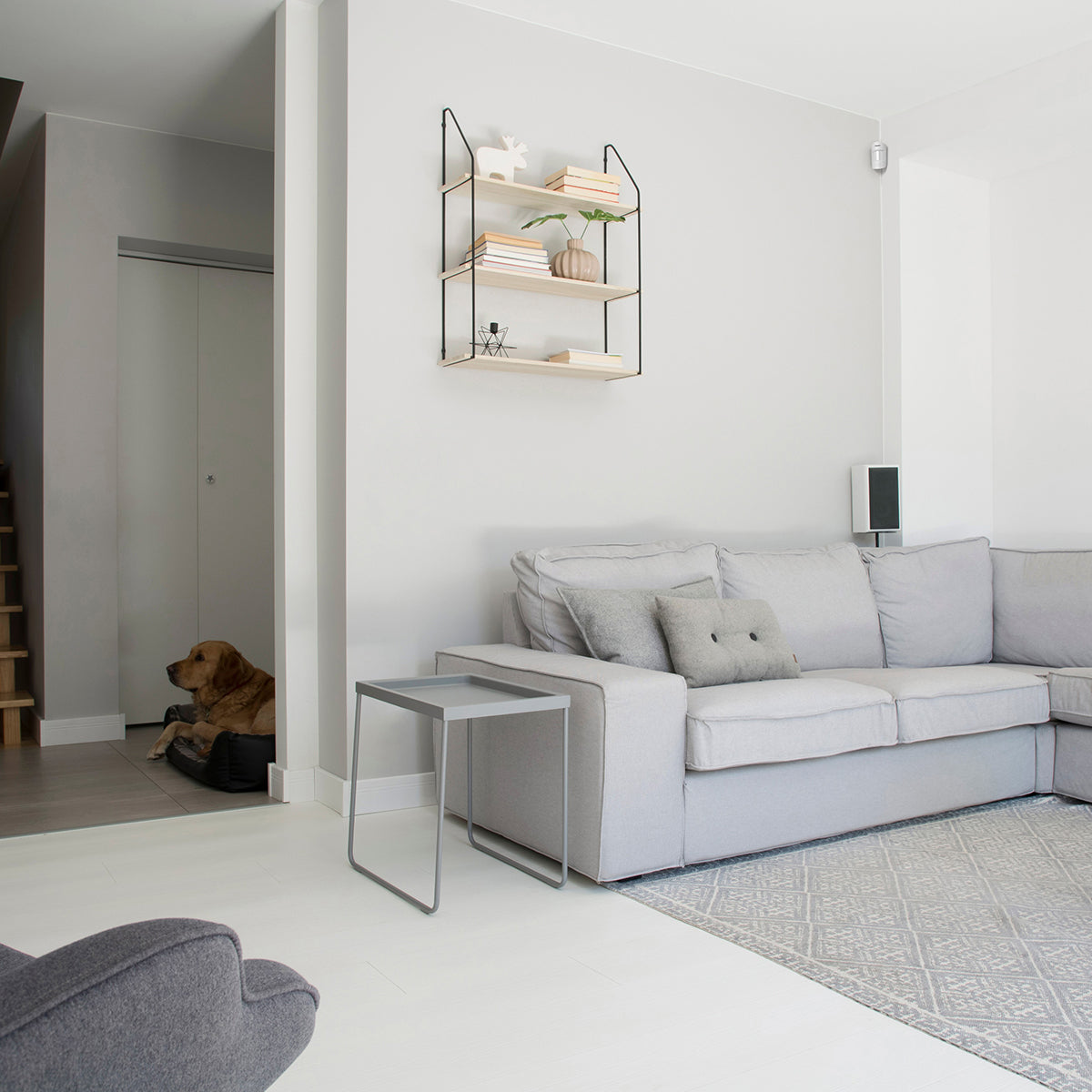 Wireless Ajax indoor motion sensor for smart security