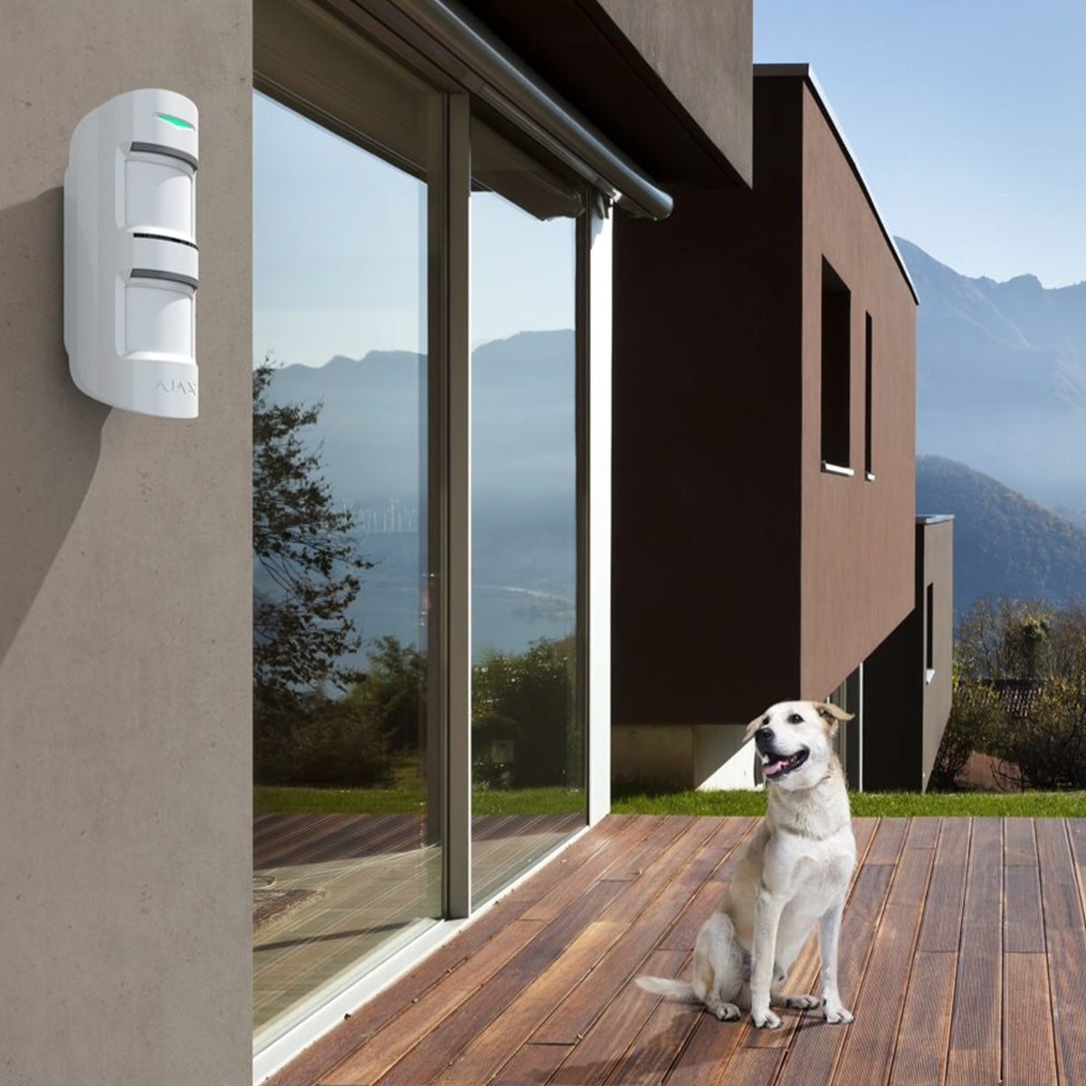 Ajax wireless MotionProtect outdoor sensor in white installed on home wall, pet-friendly motion detection