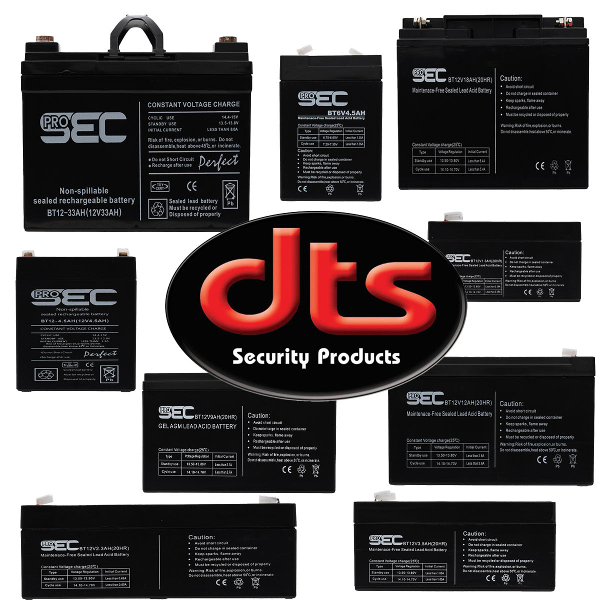 DTS Batteries